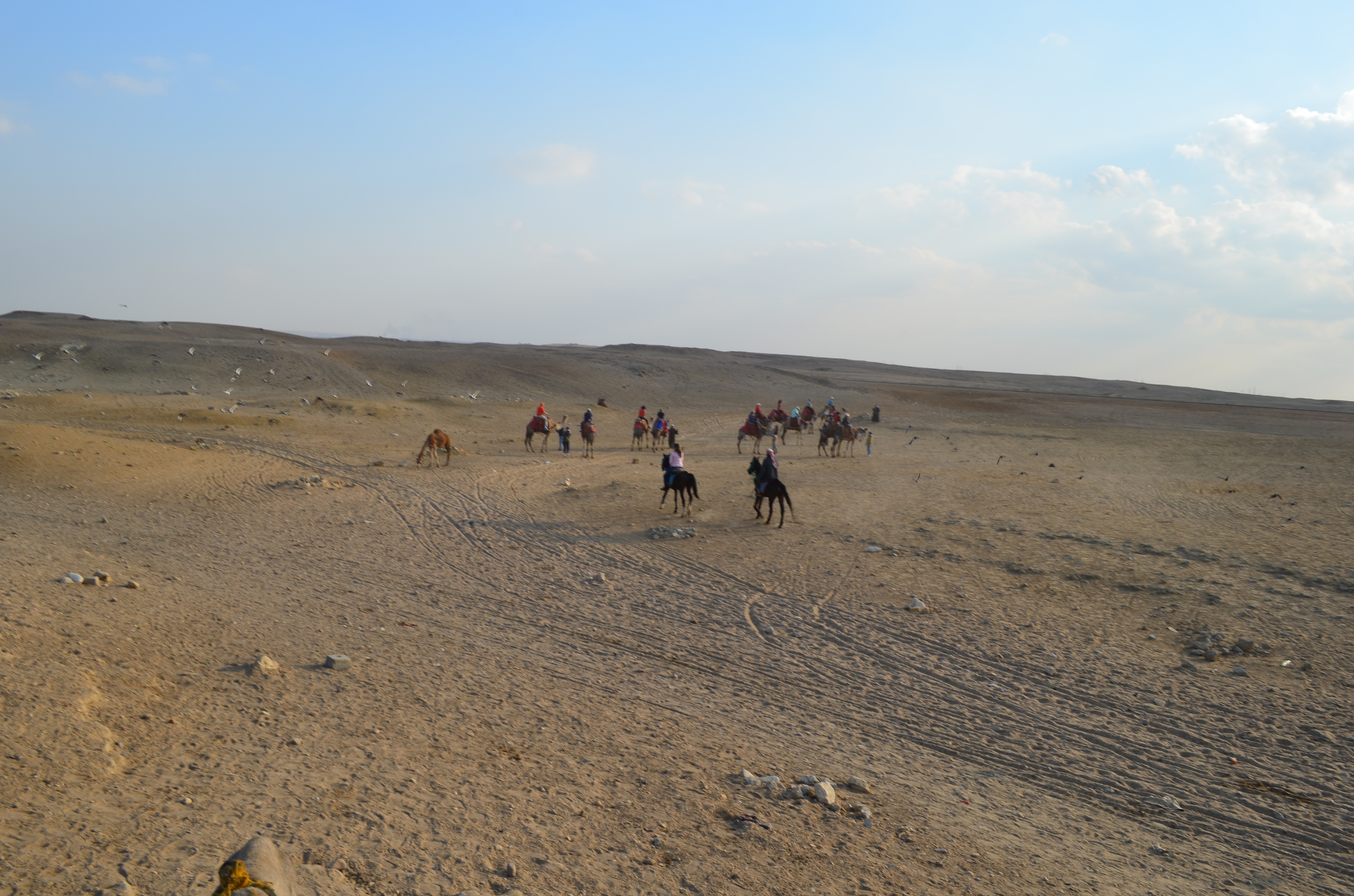 ./2018/16 - Egypt/03 - Pyramids/DSC_0258.JPG